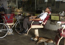 Viva Bike: Bellissimo